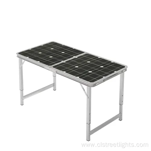 100W High-Efficiency Monocrystalline Solar Panel